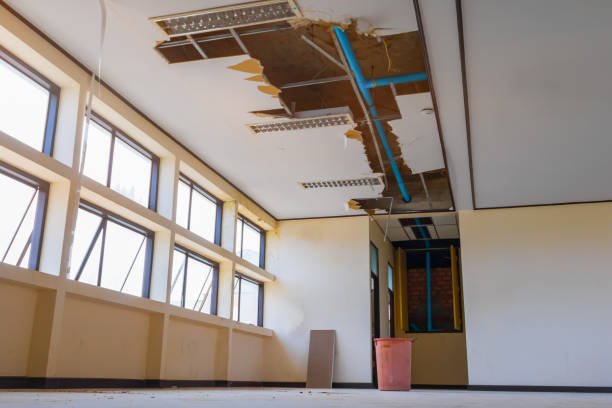 Best Fire Damage Restoration  in Lockport, LA