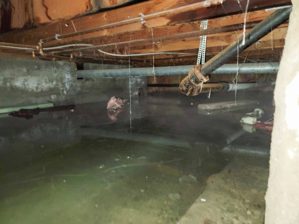 Best Sewage cleanup and water damage restoration  in Lockport, LA