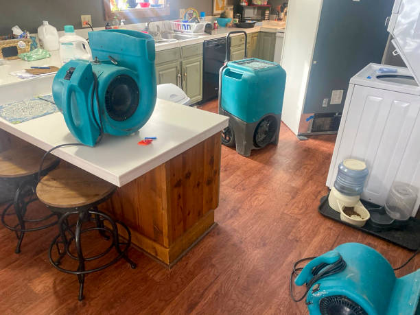 Best Water damage contractors near me  in Lockport, LA