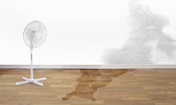 Best 24-hour water damage restoration  in Lockport, LA