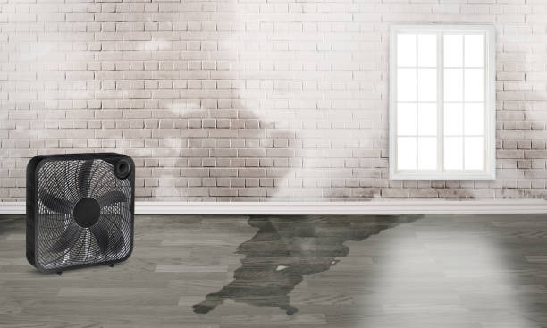 Sewage cleanup and water damage restoration in LA