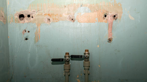 Best Professional water damage repair  in Lockport, LA