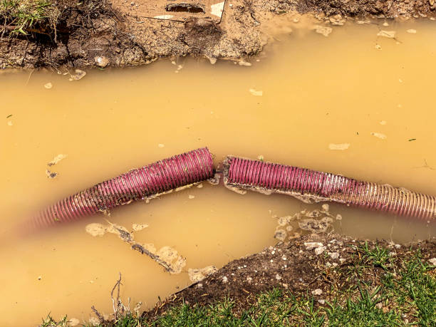 Best Flood restoration services  in Lockport, LA
